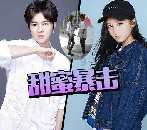 哈尼和她的宠物们