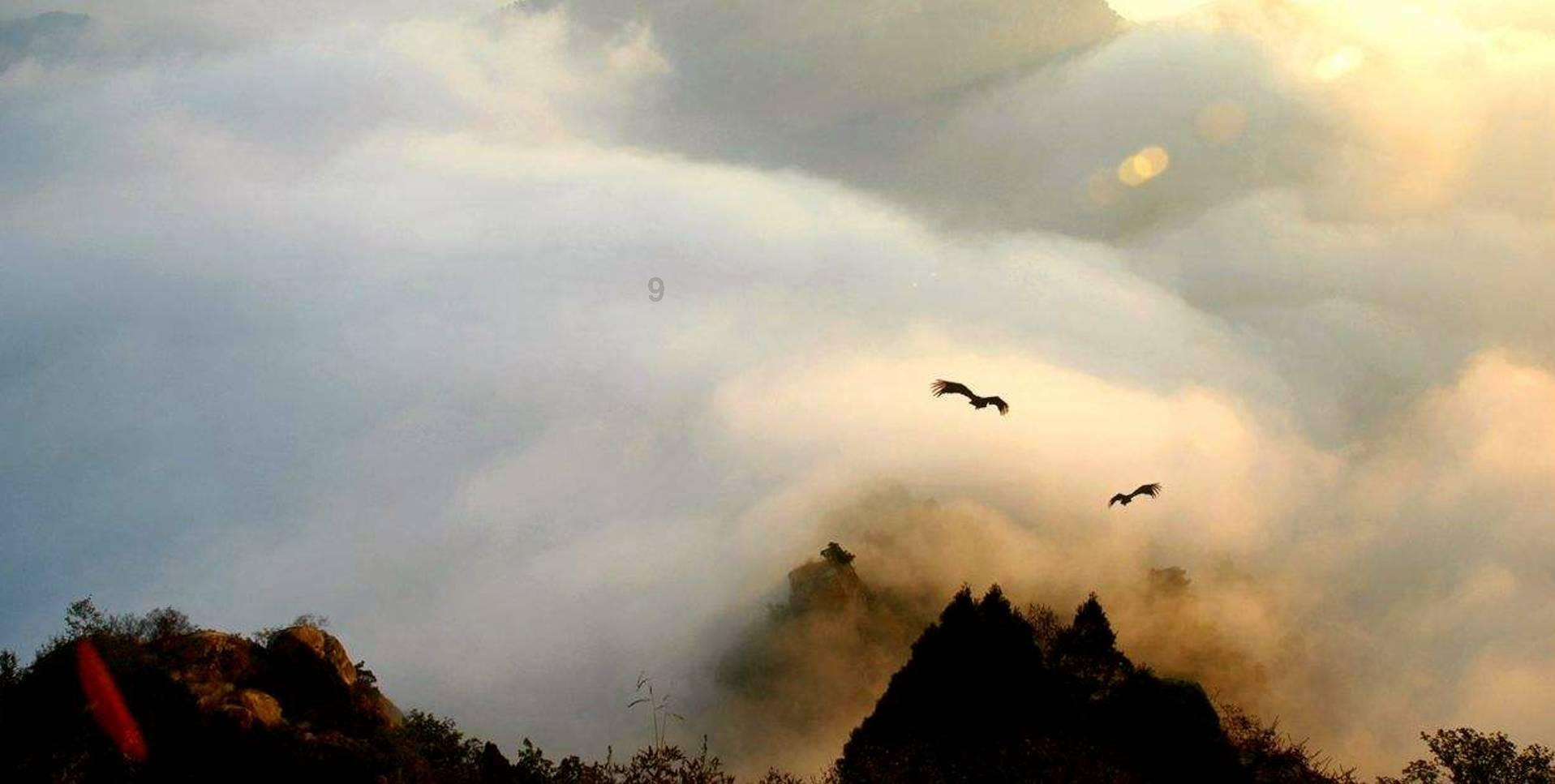 在山里